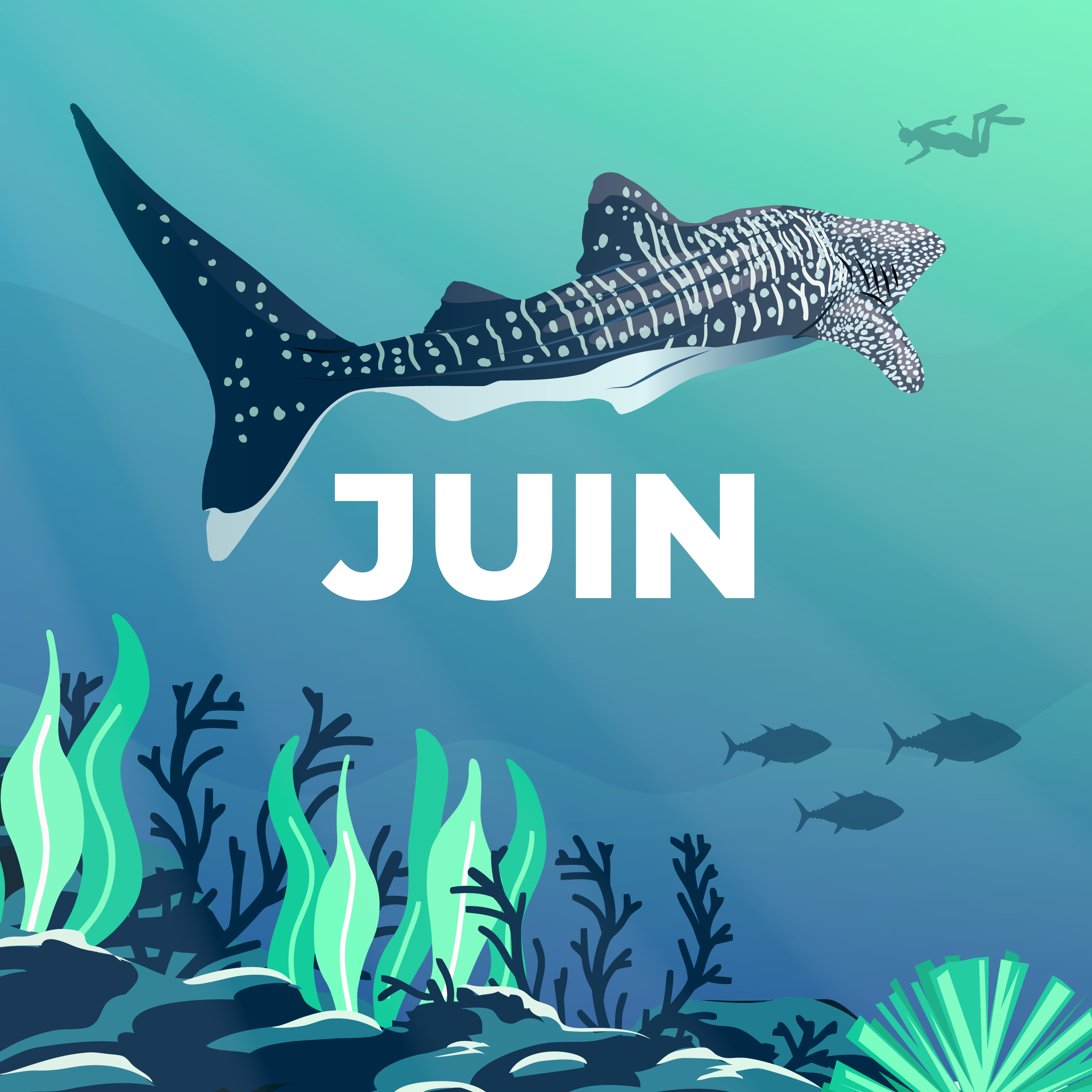 LE CALENDRIER DE JUIN 2025 EST DISPONIBLE !